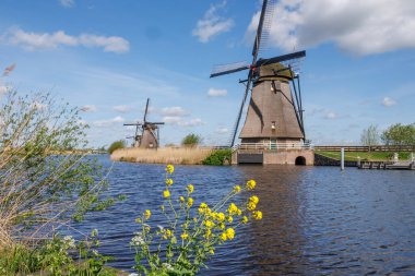 Hollanda 'daki Kinderdijk değirmenleri