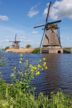 Hollanda 'daki Kinderdijk değirmenleri
