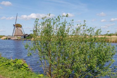 Hollanda 'daki Kinderdijk değirmenleri