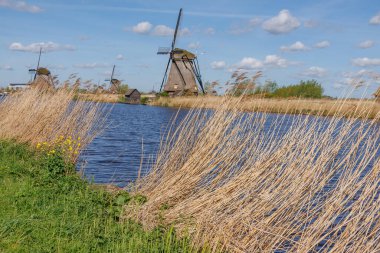 Hollanda 'daki Kinderdijk değirmenleri