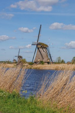 Hollanda 'daki Kinderdijk değirmenleri