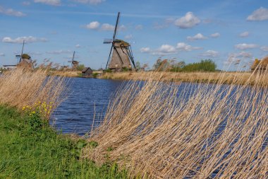 Hollanda 'daki Kinderdijk değirmenleri