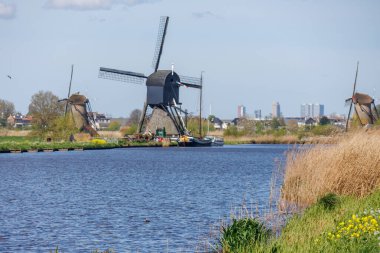 Hollanda 'daki Kinderdijk değirmenleri