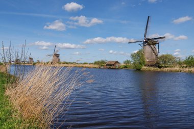 Hollanda 'daki Kinderdijk değirmenleri