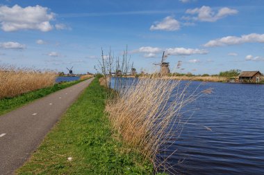 Hollanda 'daki Kinderdijk değirmenleri