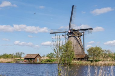 Hollanda 'daki Kinderdijk değirmenleri