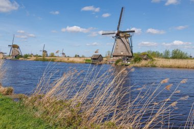 Hollanda 'daki Kinderdijk değirmenleri