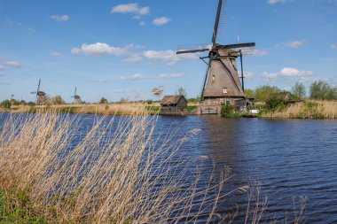 Hollanda 'daki Kinderdijk değirmenleri