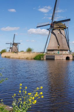 Hollanda 'daki Kinderdijk değirmenleri