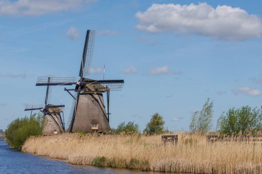 Hollanda 'daki Kinderdijk değirmenleri