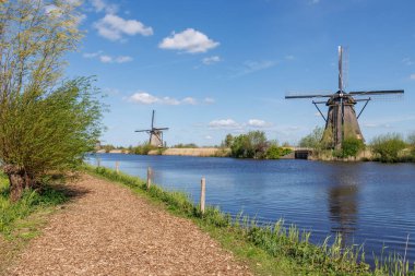 Hollanda 'daki Kinderdijk değirmenleri