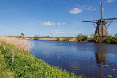 Hollanda 'daki Kinderdijk değirmenleri