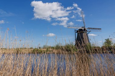 Hollanda 'daki Kinderdijk değirmenleri