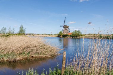 Hollanda 'daki Kinderdijk değirmenleri