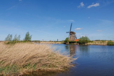 Hollanda 'daki Kinderdijk değirmenleri