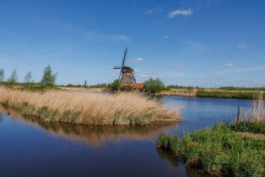 Hollanda 'daki Kinderdijk değirmenleri