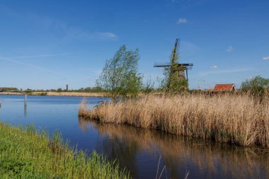 Hollanda 'daki Kinderdijk değirmenleri