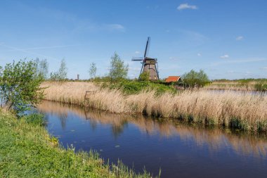 Hollanda 'daki Kinderdijk değirmenleri