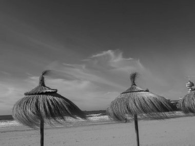 Hollanda 'daki Scheveningen plajı.