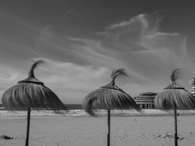 Scheveningen Hollanda 'nın kuzey denizinde