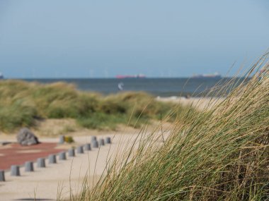 Scheveningen Hollanda 'nın kuzey denizinde