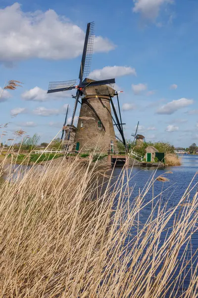 Hollanda 'daki Kinderdijk değirmenleri