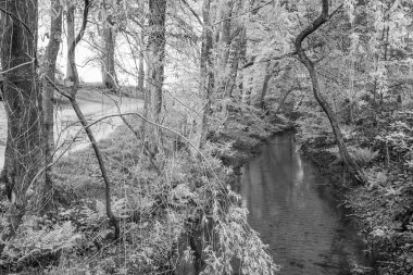Hollanda 'daki küçük Ootmarsum şehri.