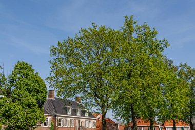 Hollanda 'daki küçük Ootmarsum şehri.