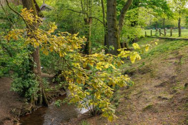 Hollanda 'daki küçük Ootmarsum şehri.
