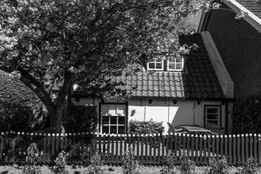 Hollanda 'daki Ameland adasındaki Nes köyü.