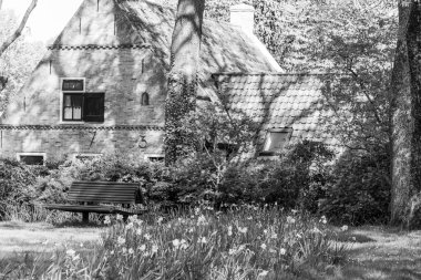 Hollanda 'daki Ameland adasındaki Nes köyü.