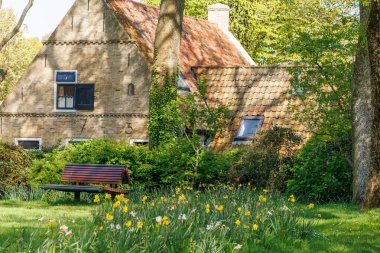 Hollanda 'daki Ameland adasındaki Nes köyü.