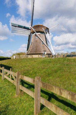 Hollanda 'daki Ameland adasındaki Nes köyü.