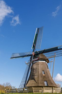 Hollanda 'daki Ameland adasındaki Nes köyü.