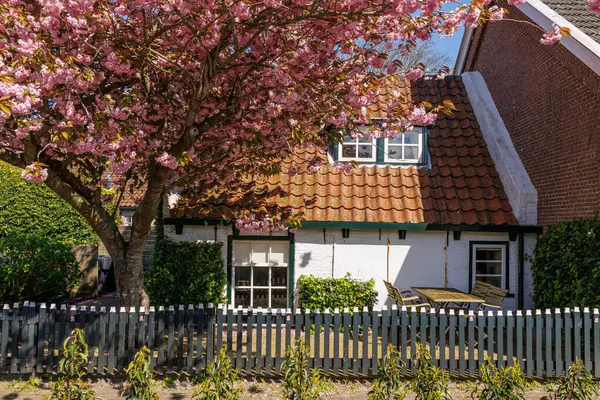 Hollanda 'daki Ameland adasındaki Nes köyü.