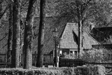 Hollanda 'nın kuzey denizindeki Ameland Adası