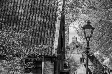 Hollanda 'nın kuzey denizindeki Ameland Adası