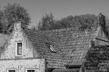 Hollanda 'nın kuzey denizindeki Ameland Adası