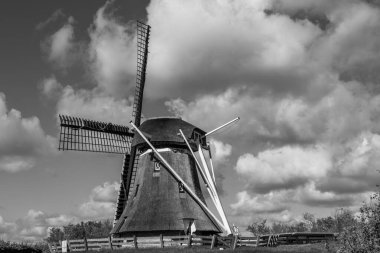 Hollanda 'nın kuzey denizindeki Ameland Adası