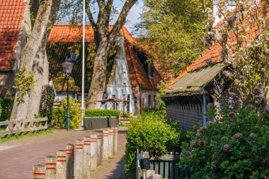 Hollanda 'nın kuzey denizindeki Ameland Adası