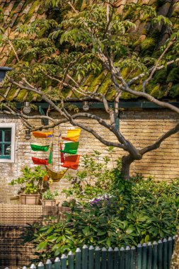 Hollanda 'nın kuzey denizindeki Ameland Adası