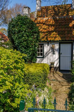 Hollanda 'nın kuzey denizindeki Ameland Adası
