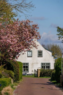 Hollanda 'nın kuzey denizindeki Ameland Adası