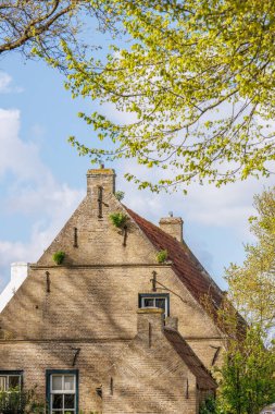 Hollanda 'nın kuzey denizindeki Ameland Adası