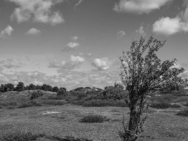 Hollanda 'nın kuzey denizindeki Ameland Adası