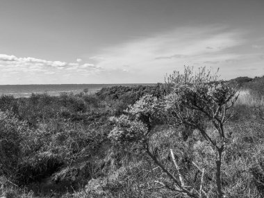 Hollanda 'nın kuzey denizindeki Ameland Adası