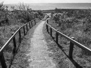 Hollanda 'nın kuzey denizindeki Ameland Adası