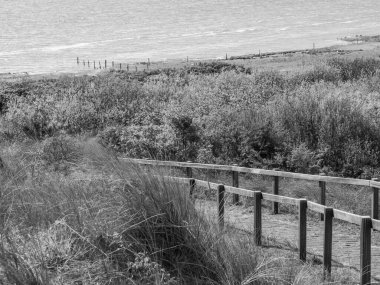 Hollanda 'nın kuzey denizindeki Ameland Adası
