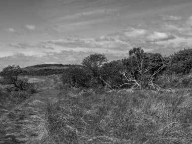 Hollanda 'nın kuzey denizindeki Ameland Adası