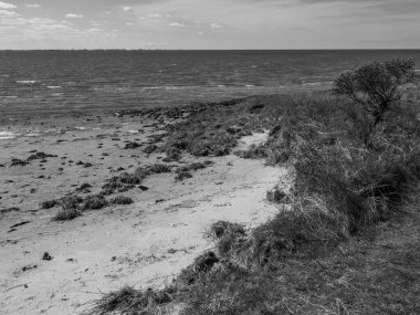 Hollanda 'nın kuzey denizindeki Ameland Adası